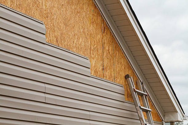 Professional Siding Inspection technician working in Bloomfield, NY